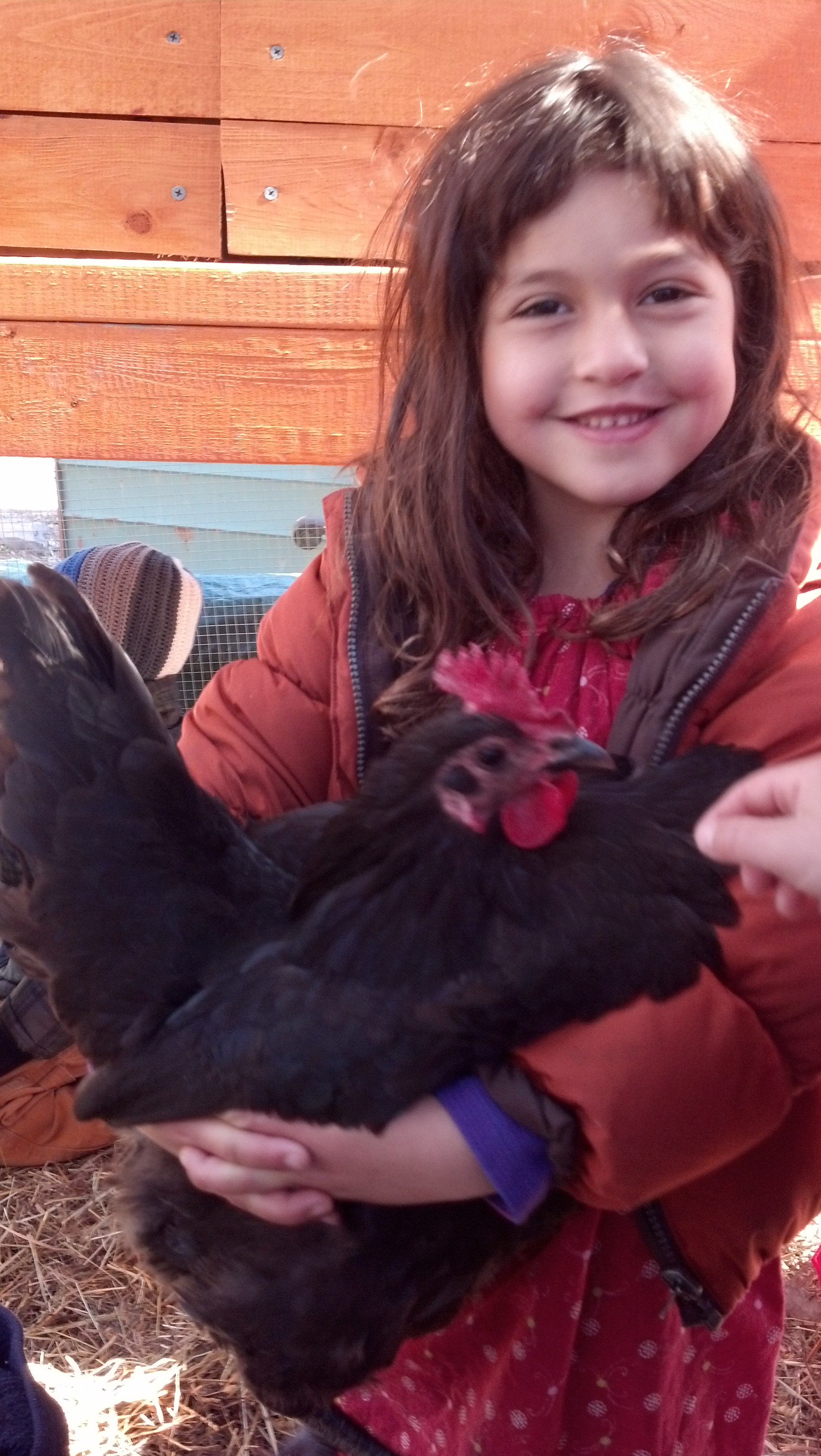 Naomi & Chickens