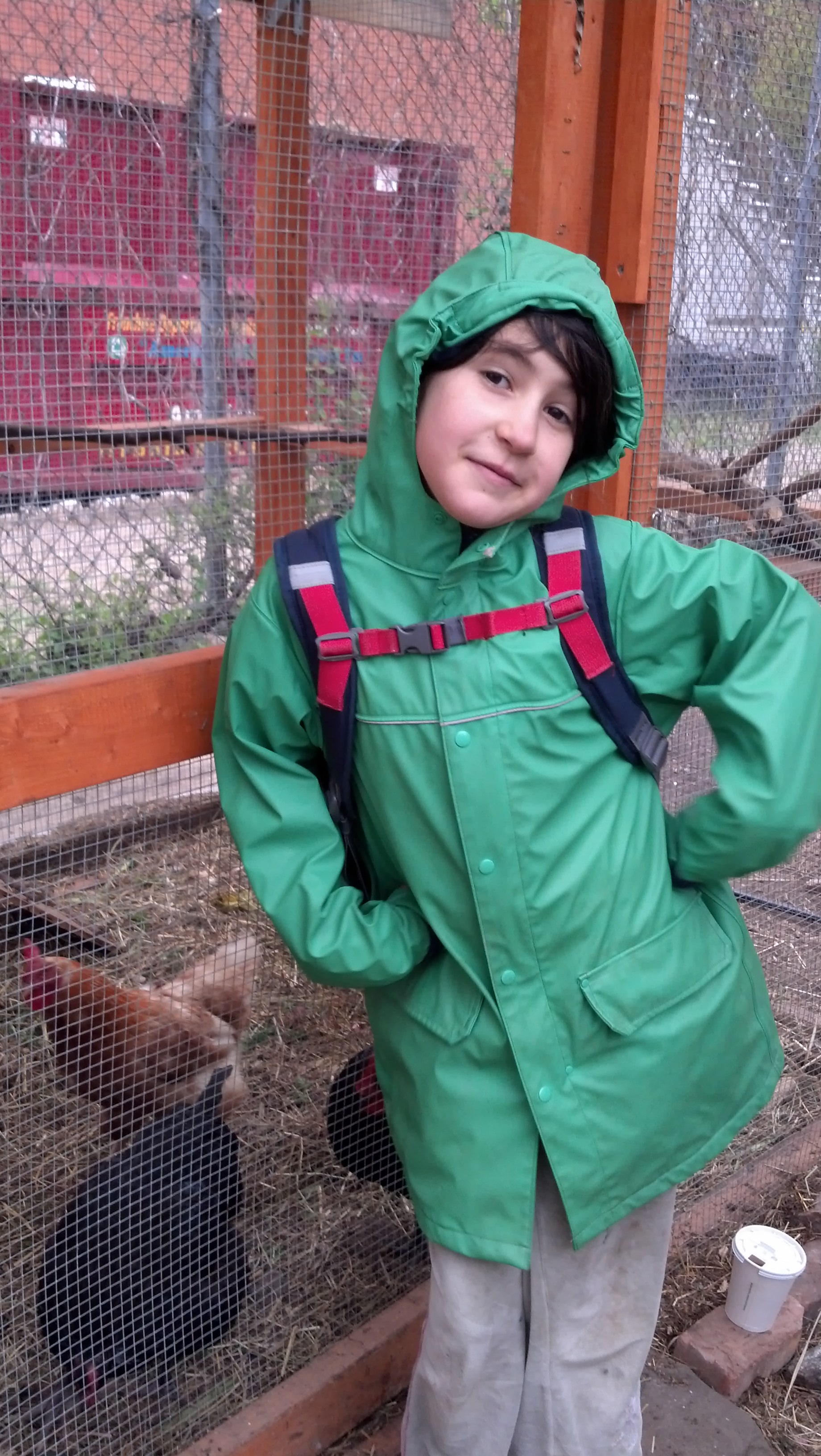 Violet & Chickens