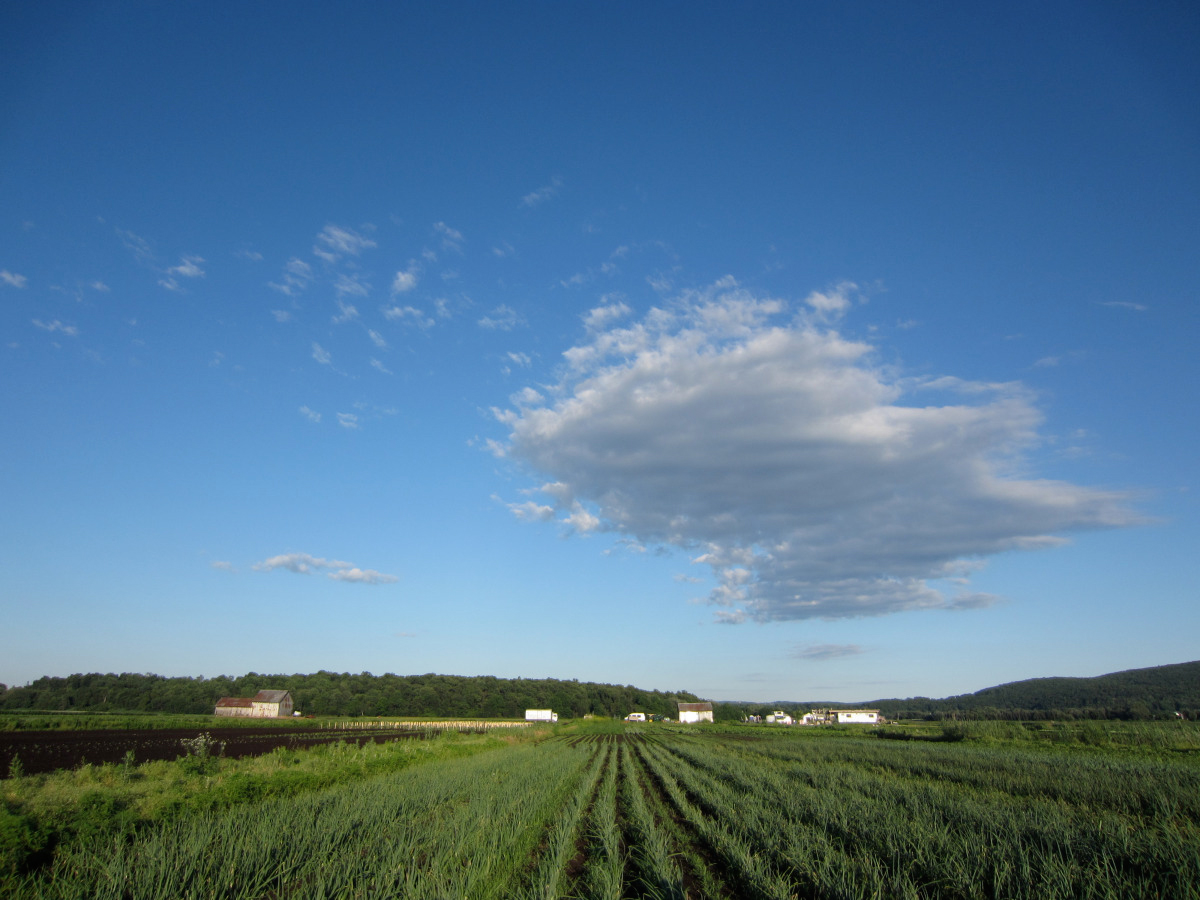 farm-2